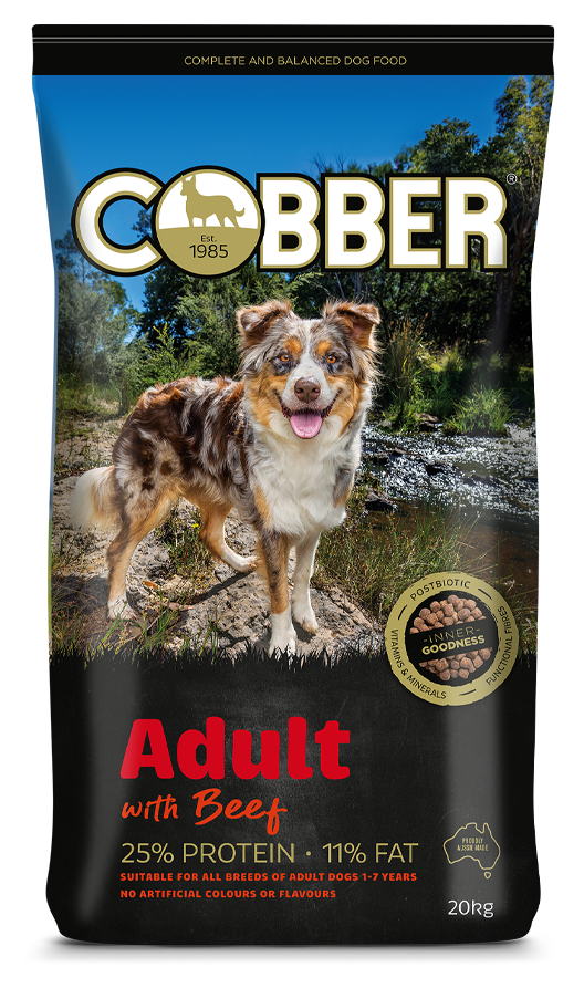 Cobber Adult Dog with Beef 20kg