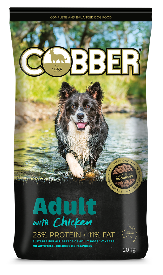 Cobber Adult Dog with Chicken 20kg