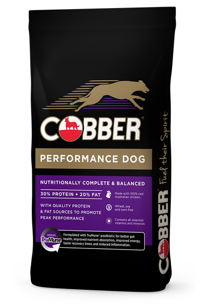 Cobber Performance Dog 20kg