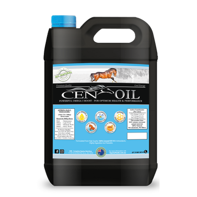 CEN Oil-feed-Southern Sport Horses