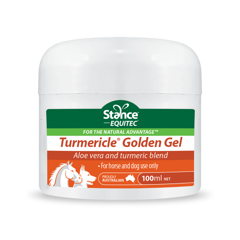Equitec Turmericle Golden Gel-feed-Southern Sport Horses