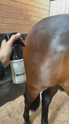 Hairy Pony Shimmer Spray