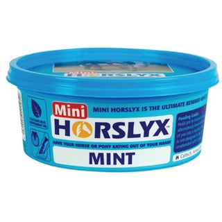 HorsLyx Mini Lick 650g