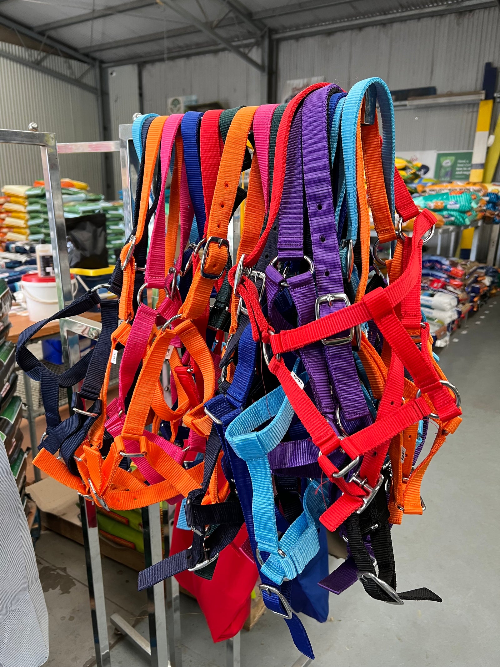 Classic Style Halters