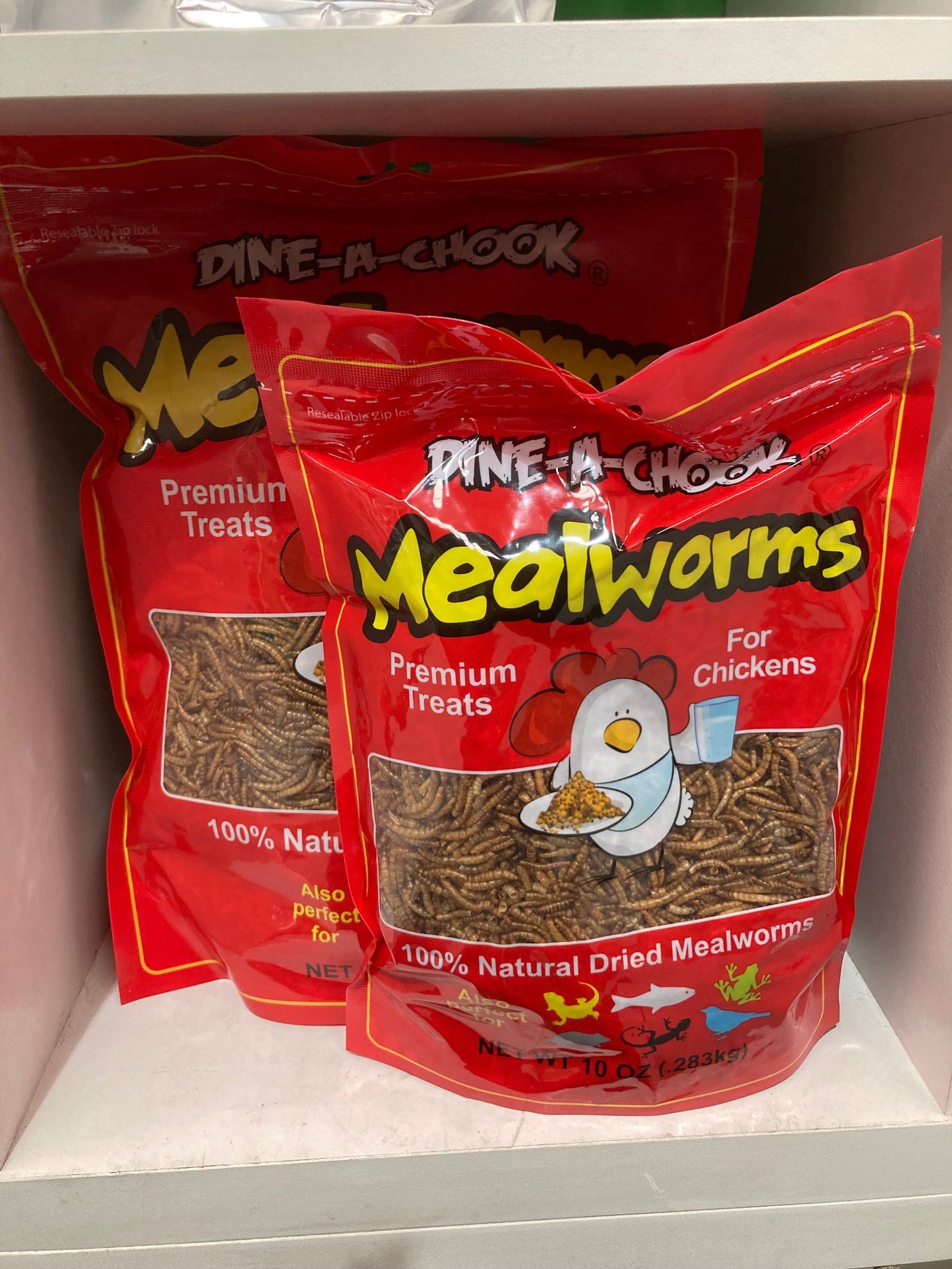 Mealworms Dine a chook