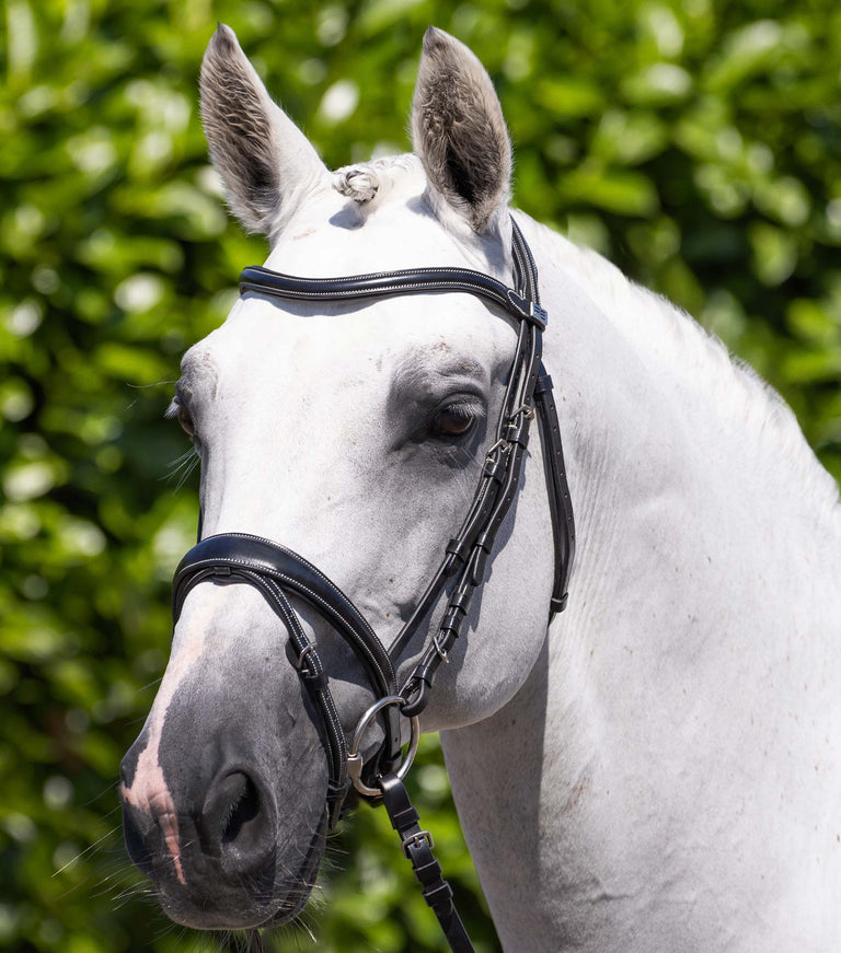 Premier Equine Casano Snaffle Bridle