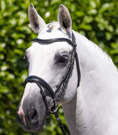 Premier Equine Casano Snaffle Bridle