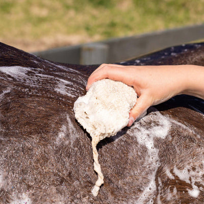 Hairy Pony Eco Friendly Original Shampoo Bars