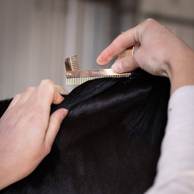 Hairy Pony Sectioning Comb