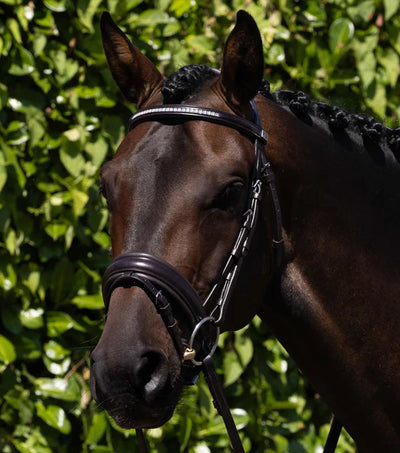 Premier Equine Castello Anatomical Bridle