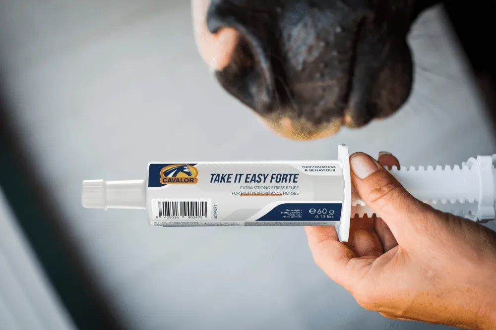 Cavalor Take It Easy Forte Paste 60g