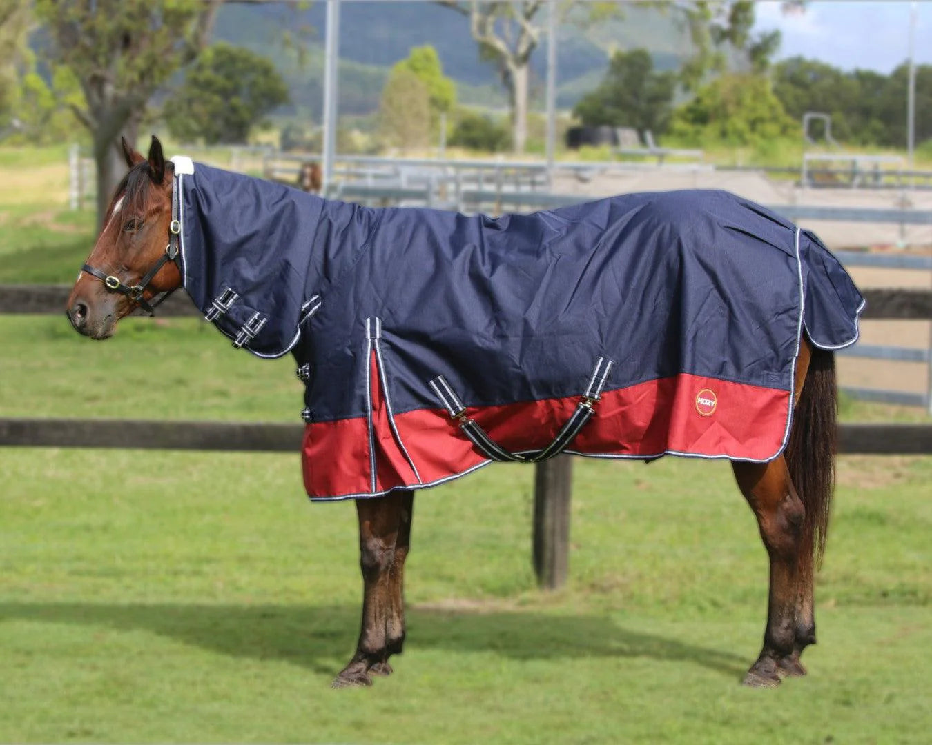 Kozy Queenslander 1200D Combo Navy/Red