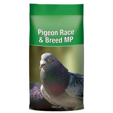 Laucke Pigeon Race And Breed MP