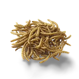 Peters Poultry And Bird Treat -Dried Mealworms 100gm