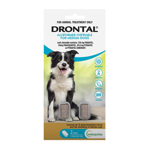 Drontal Allwormer Medium Dog