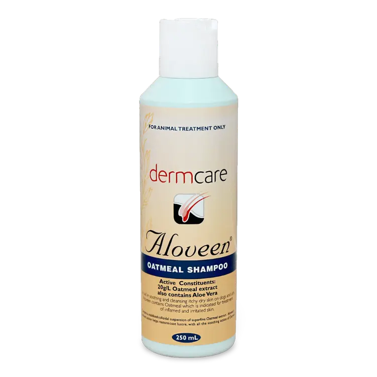 Dermcare Aloveen Oatmeal Shampoo
