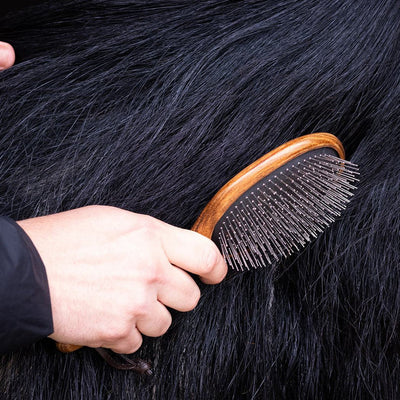 Hairy Pony Mane And Tail Brush