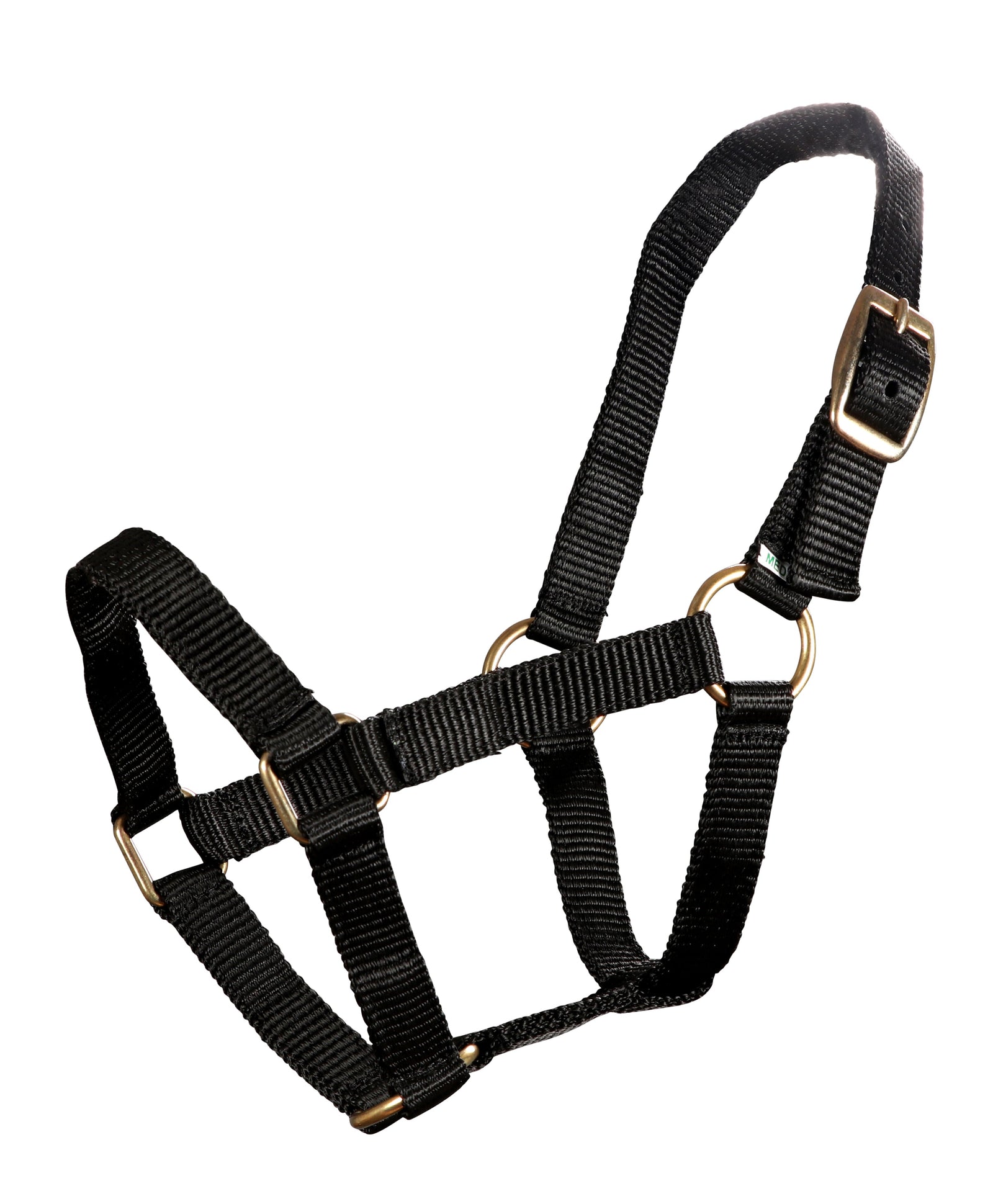 Piccolo Mini Horse PP Halter