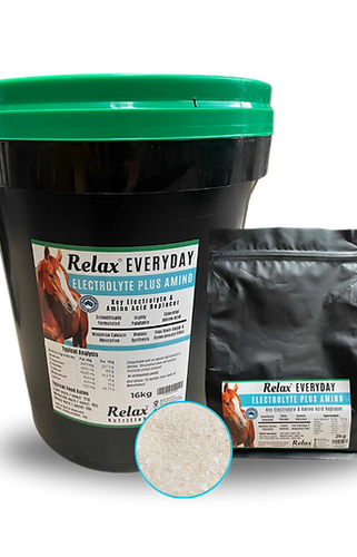 Relax Nutrition Everyday Electrolyte plus Amino