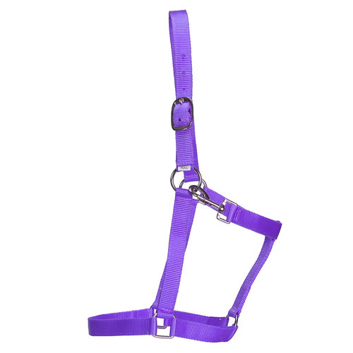 Stable Halter