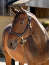 LeMieux Grooming Leather Headcollar