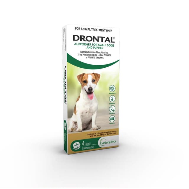 Drontal Allwormer Small  Puppy Dog
