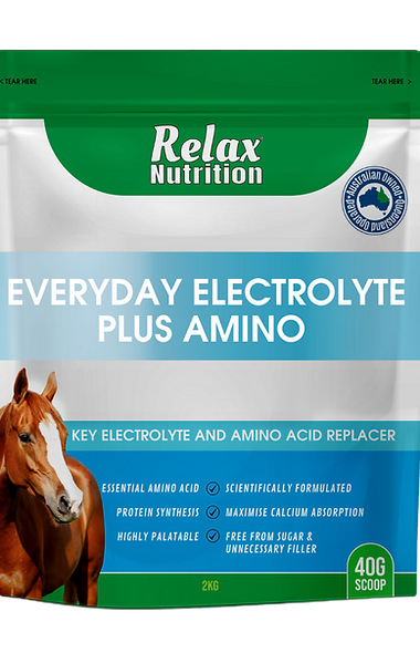 Relax Nutrition Everyday Electrolyte plus Amino