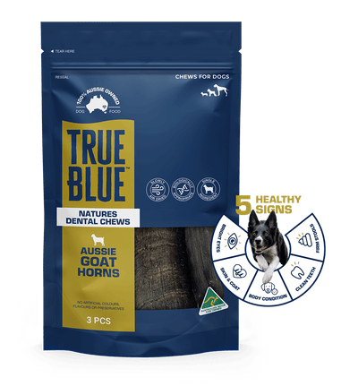 True Blue Natures Dental Chews for Dogs