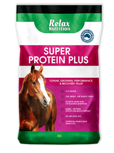Relax Nutrition Super Protein Plus
