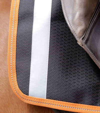 Premier Equine Stratus Exercise Sheet