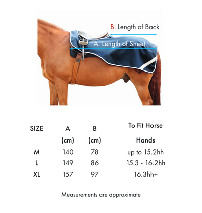 Premier Equine Stratus Exercise Sheet