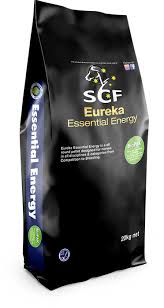 Eureka Essential Energy