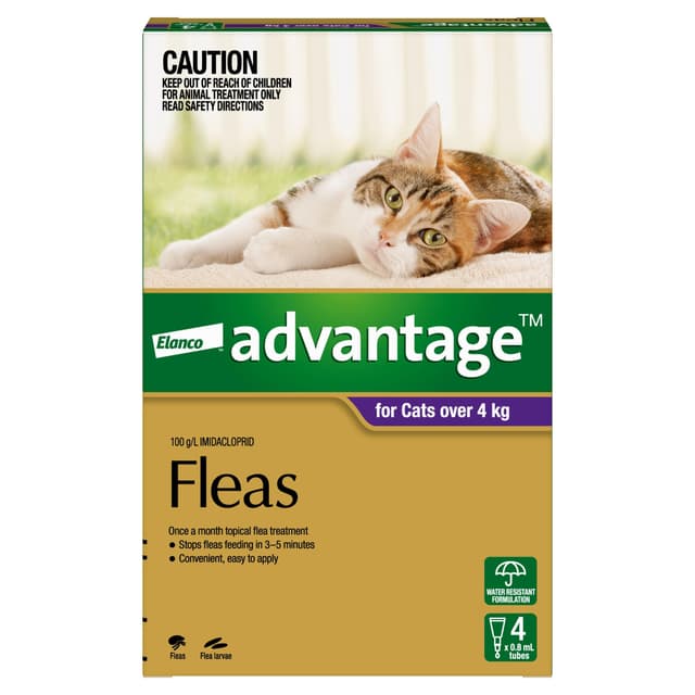 Advantage Fleas for Cats