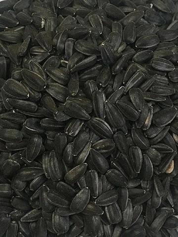 Southern Cross Feeds Eureka Sunflower Seeds