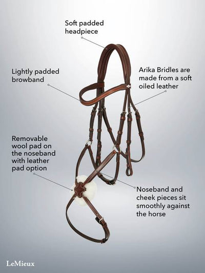 LeMieux Arika Grackle Bridle