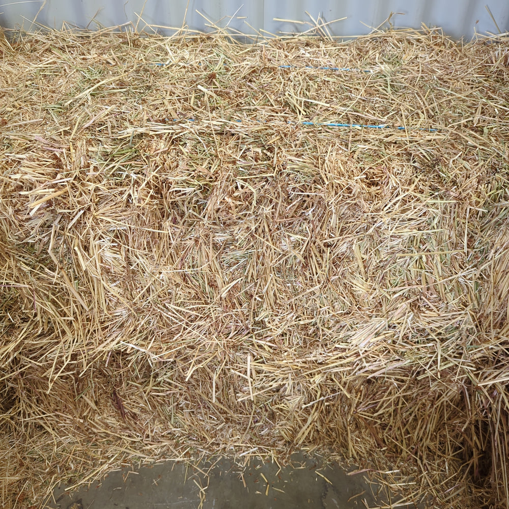 SSH Showjumping Equipment | Rails, Poles, Keyhole Tracking, Wings, Cups