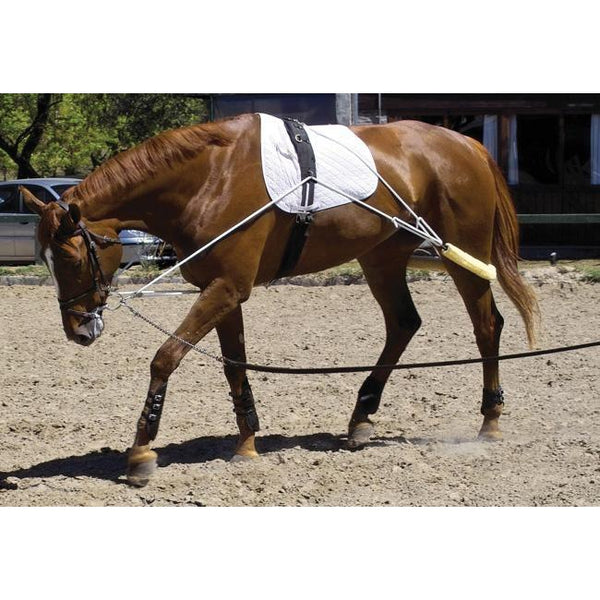 thumbnail image 2 of Leaders Horse Lunging Training System – Pessoa-Based Lungeing Aid For Equine Conditioning 2 of 6