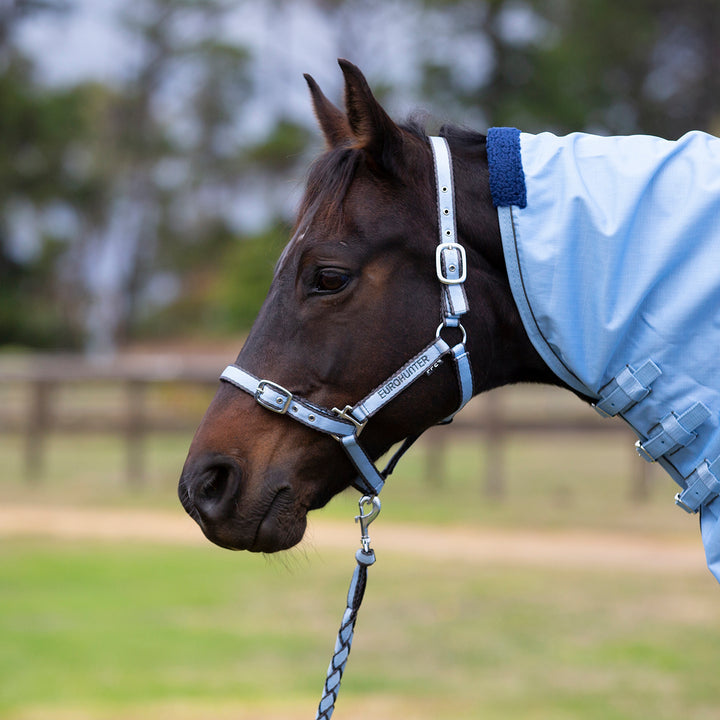 Eurohunter Comfort Halter and Lead