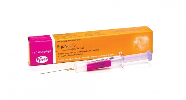 Equivac S Strangles Vaccine