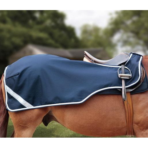 Premier Equine Exercise Sheet