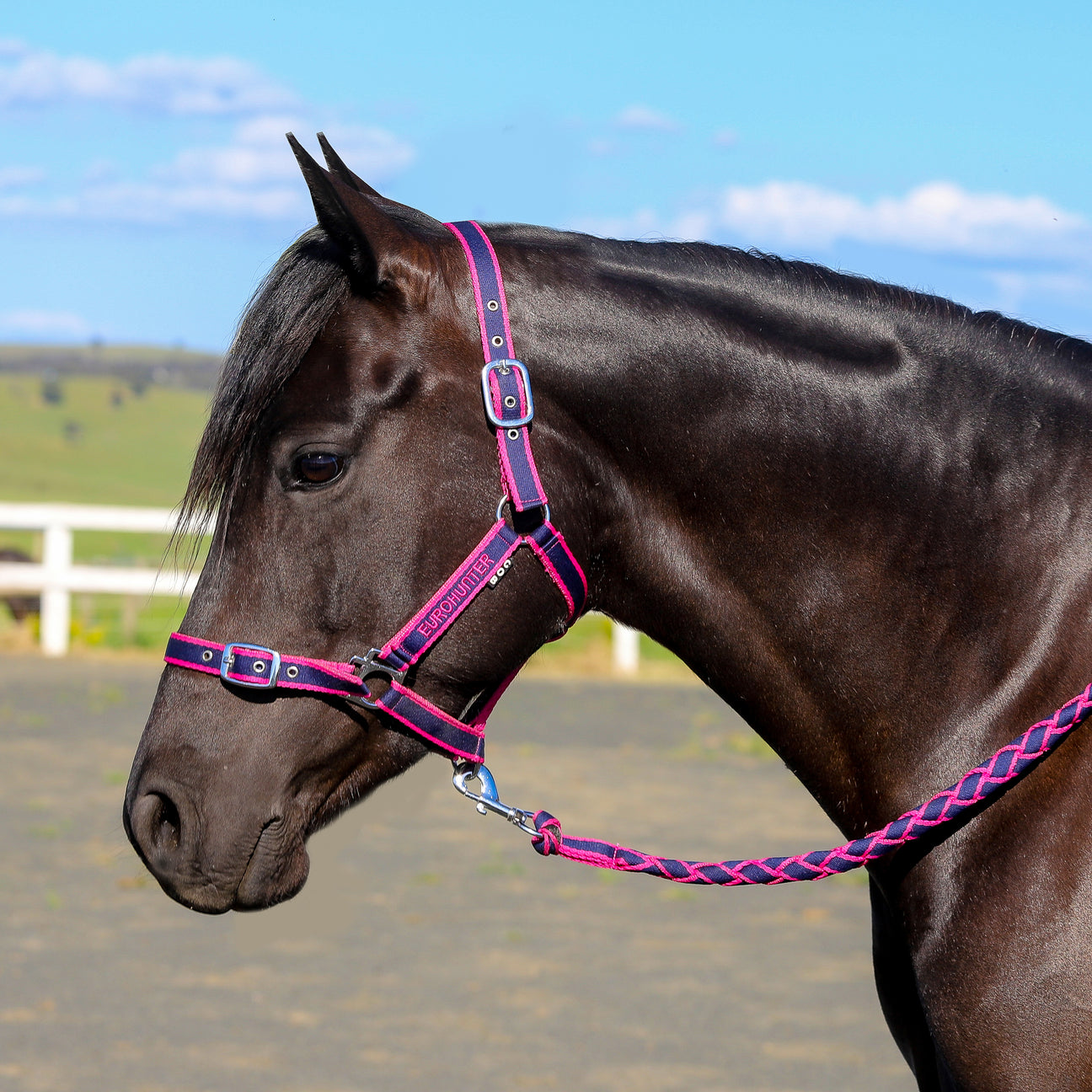 Eurohunter Comfort Halter and Lead