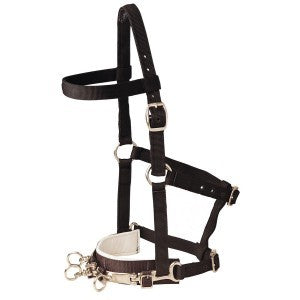 Nylon Lunge Cavesson