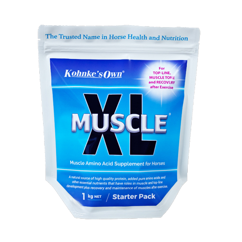 Kohnke’s Own Muscle XL