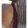 Premier Equine Padded Tail Guard with Tail Bag