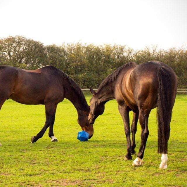Red Gorilla Drip Feed Treat Ball