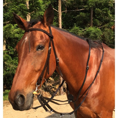 Market Harborough Martingale Black