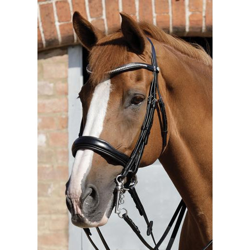 Premier Equine Abriano Anatomic Double Bridle