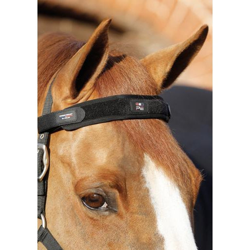 Premier Equine Magni-Teque Magnetic Browband