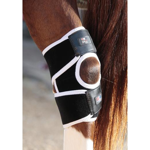 Premier Equine Magni-Teque Magnetic Hock Boots