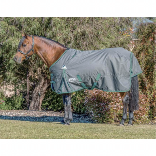 Eurohunter Ironbark (Last Season) Rug